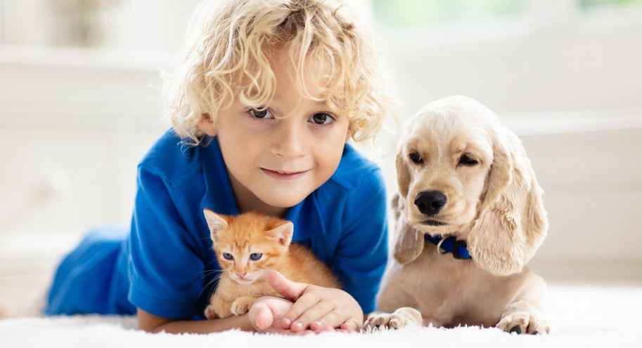 What does it mean to be a responsible pet owner?