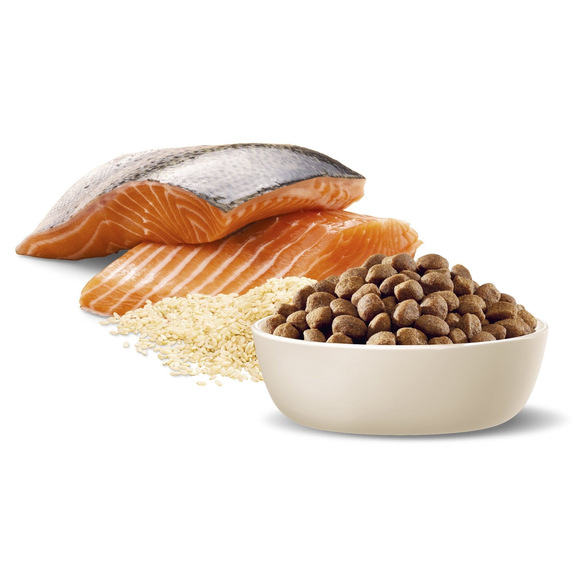ADVANCE Large Oodles Dry Dog Food Salmon with Rice