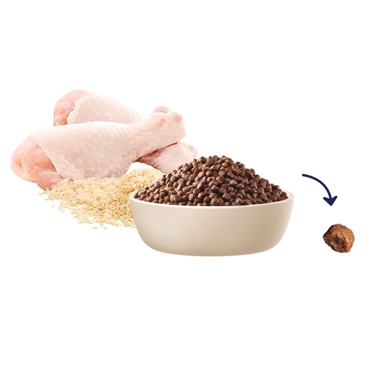 ADVANCE Puppy Rehydratable Small Breed Chicken with Rice 800g