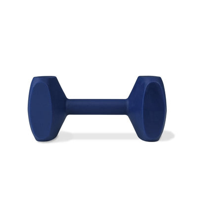 Coachi Training Dumbbell Navy Small - Just For Pets Australia