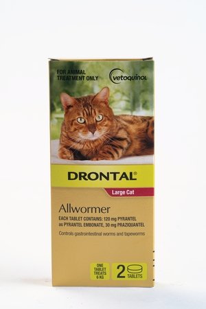 Drontal Cat Allwormer Large Cat up to 6kg 2 Pack - Just For Pets Australia