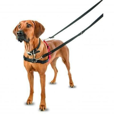 Halti Front Control Harness - Just For Pets Australia