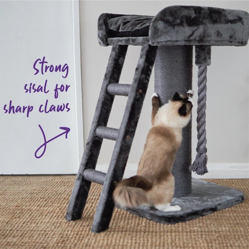 Kazoo Kitty High Bed w/Ladder - Charcoal plush & grey sisal