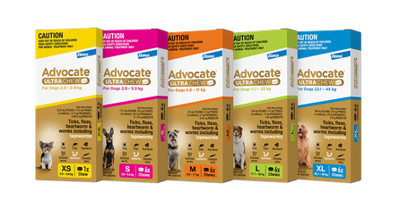 NEW Advocate® Ultra Chew – The All-in-One That Does More