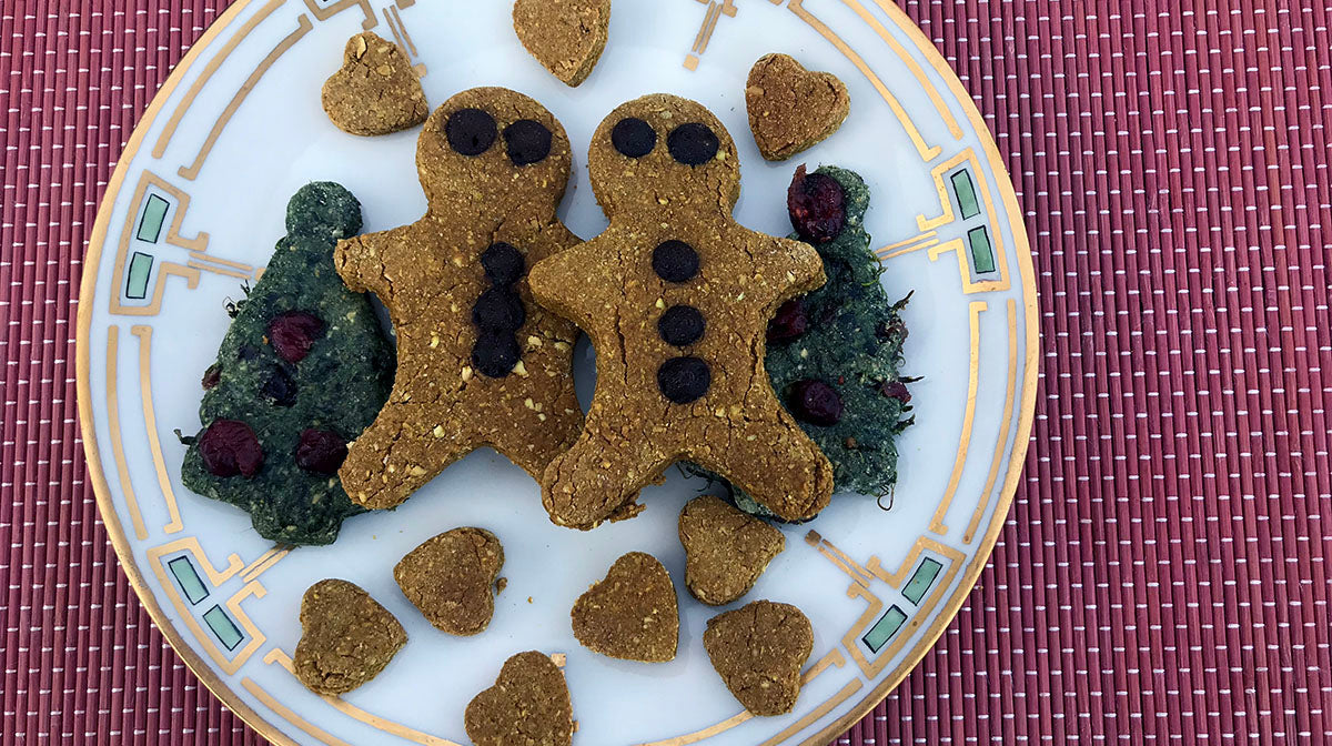 DIY Christmas Pet Treats: Fun Festive Baking for Dogs and Cats!