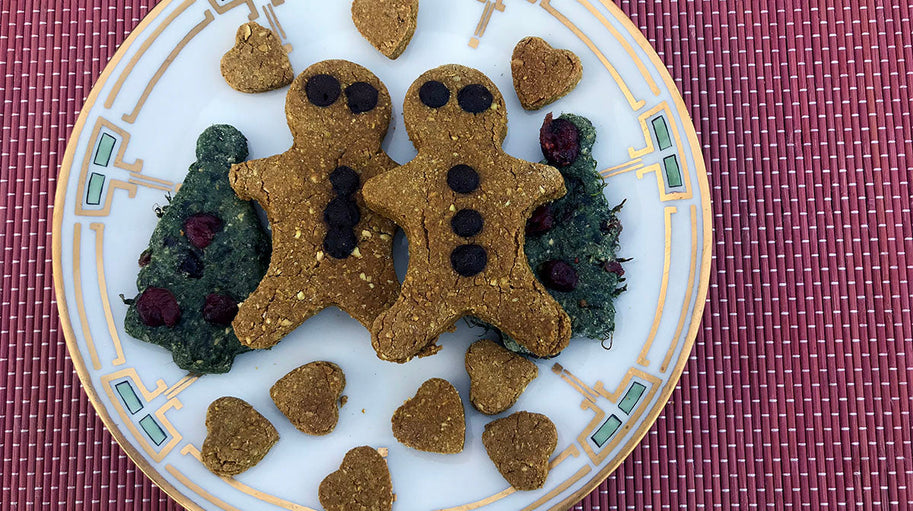 DIY Christmas Pet Treats: Fun Festive Baking for Dogs and Cats!