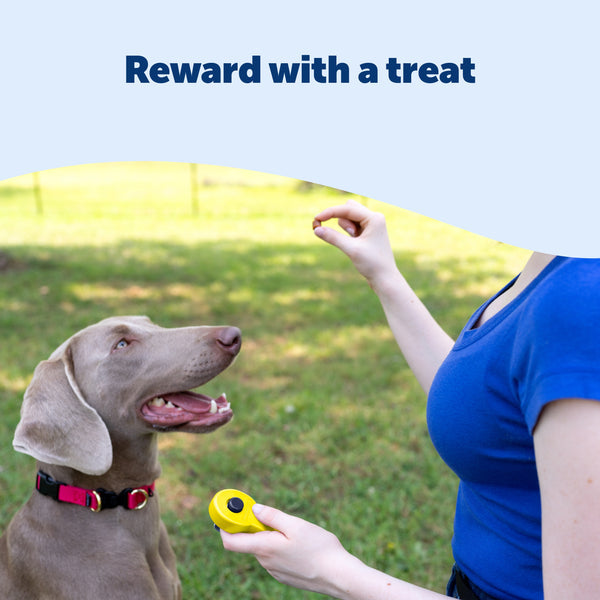 PetSafe Clik-R Training Tool