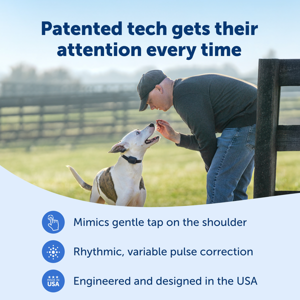 PetSafe Core Dog Trainer with Remote