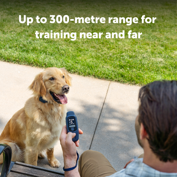 PetSafe Core Dog Trainer with Remote