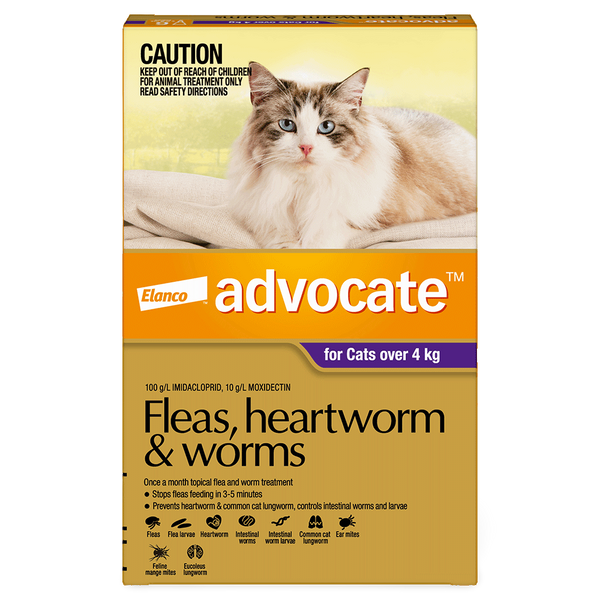 Advocate Seresto Petalogue Pet Care