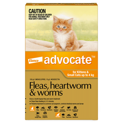Advocate Fleas, Heartworm & Worms For Kittens & Small Cats Up To 4kg