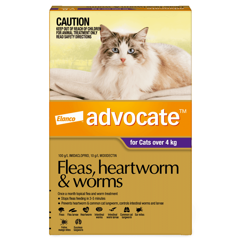 Advocate Fleas, Heartworm & Worms For Cats Over 4kg