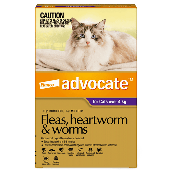 Advocate Seresto Petalogue Pet Care