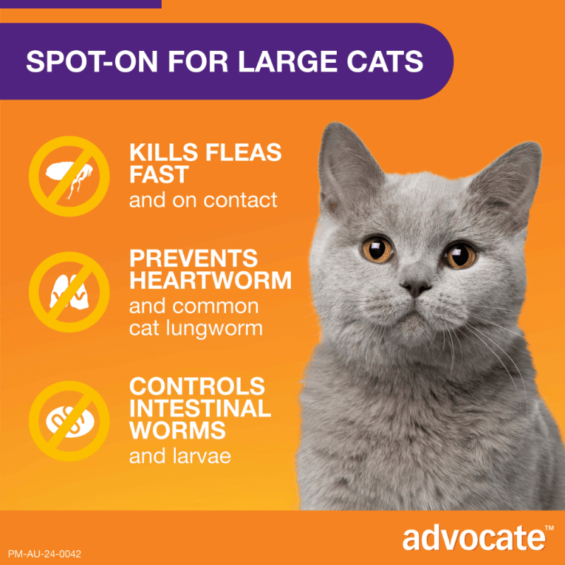 Advocate Fleas, Heartworm & Worms For Cats Over 4kg