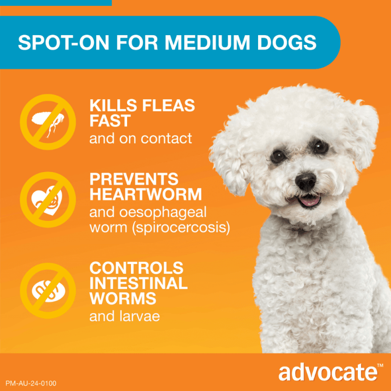Advocate Fleas, Heartworm & Worms For Dogs 4 - 10kg