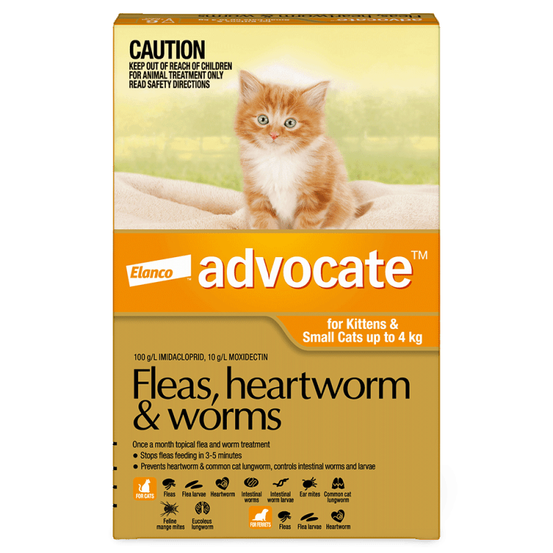 Advocate Fleas, Heartworm & Worms For Kittens & Small Cats Up To 4kg