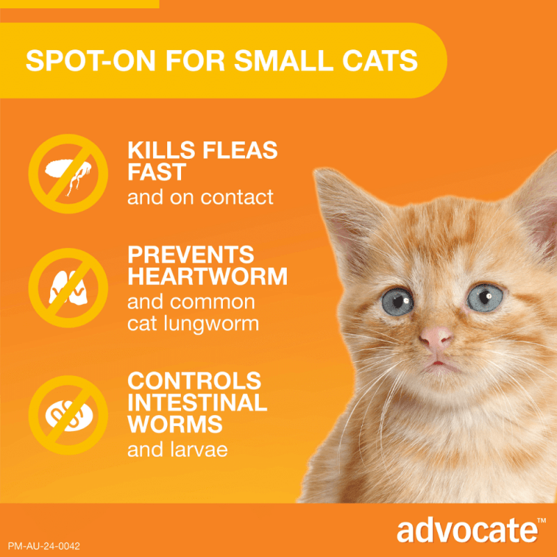 Advocate Fleas, Heartworm & Worms For Kittens & Small Cats Up To 4kg
