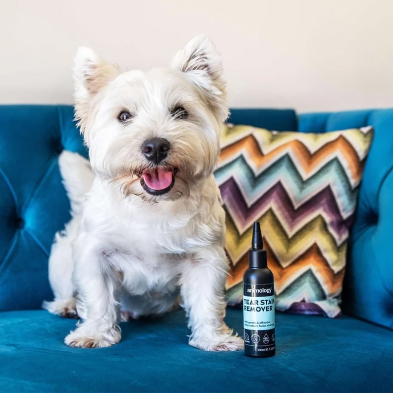 Animology Tear Stain Remover 100ml