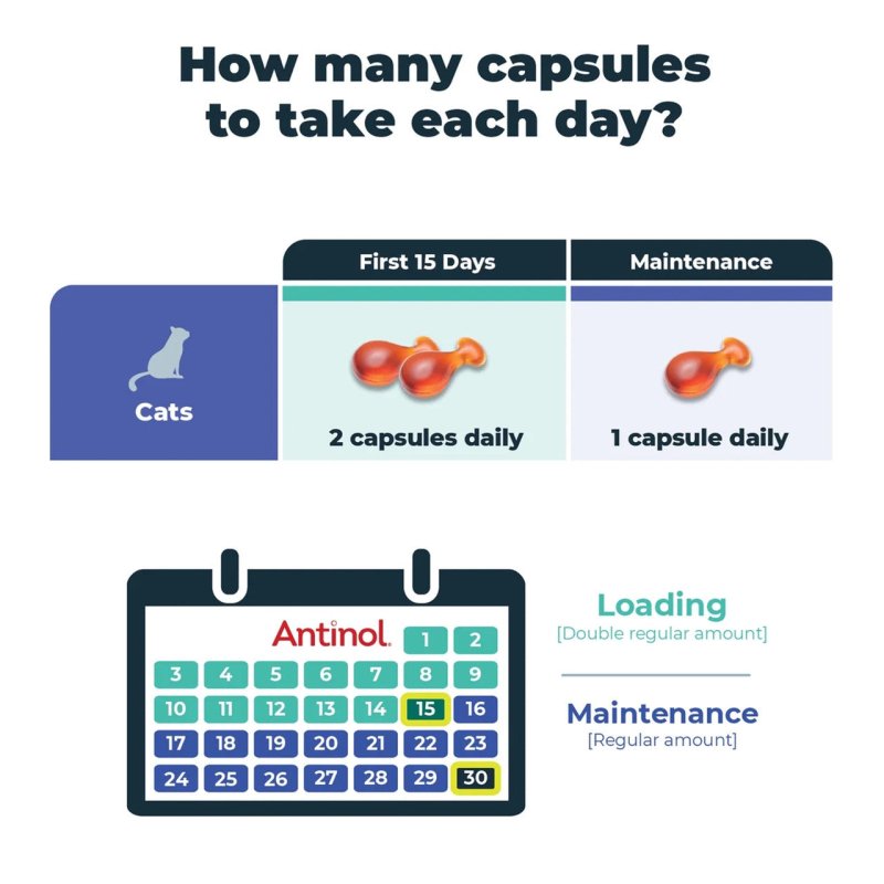 Antinol Plus for Cats