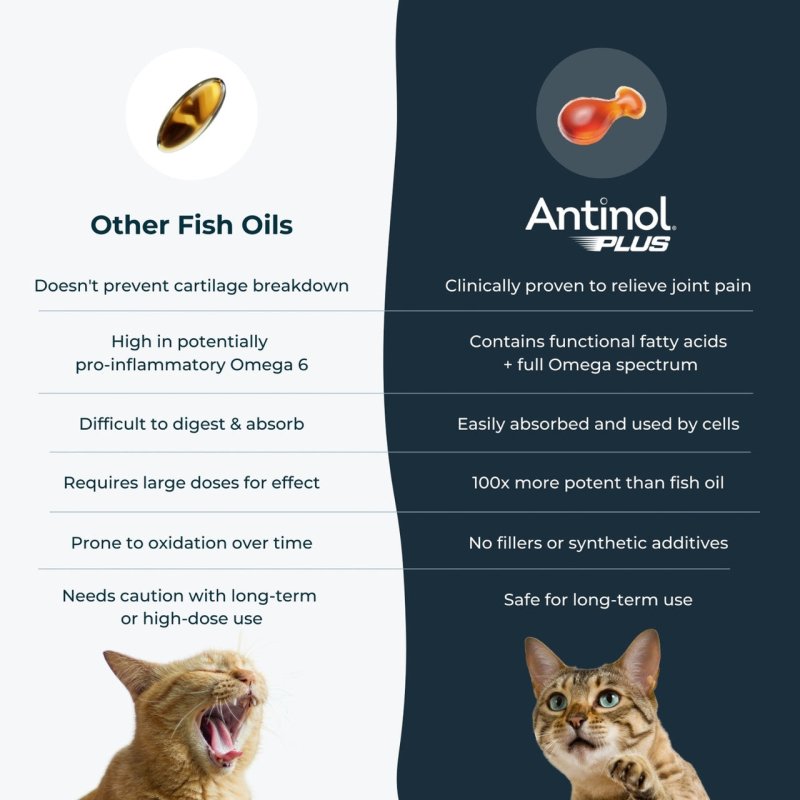 Antinol Plus for Cats
