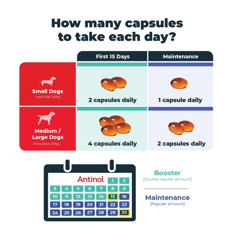 Antinol Plus for Dogs
