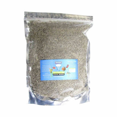 Aust. Blackworm Freeze Dried 200g (xxl) (200cm) - Just For Pets Australia