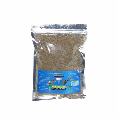 Aust. Blackworm Freeze Dried 50g (lge) (50cm) - Just For Pets Australia