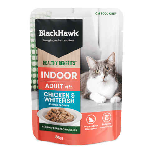 Black Hawk Original Cat Wet Food 85g x 12Pack Adult
