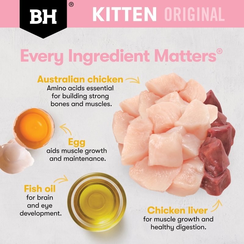 Black Hawk Original Kitten Dry Food