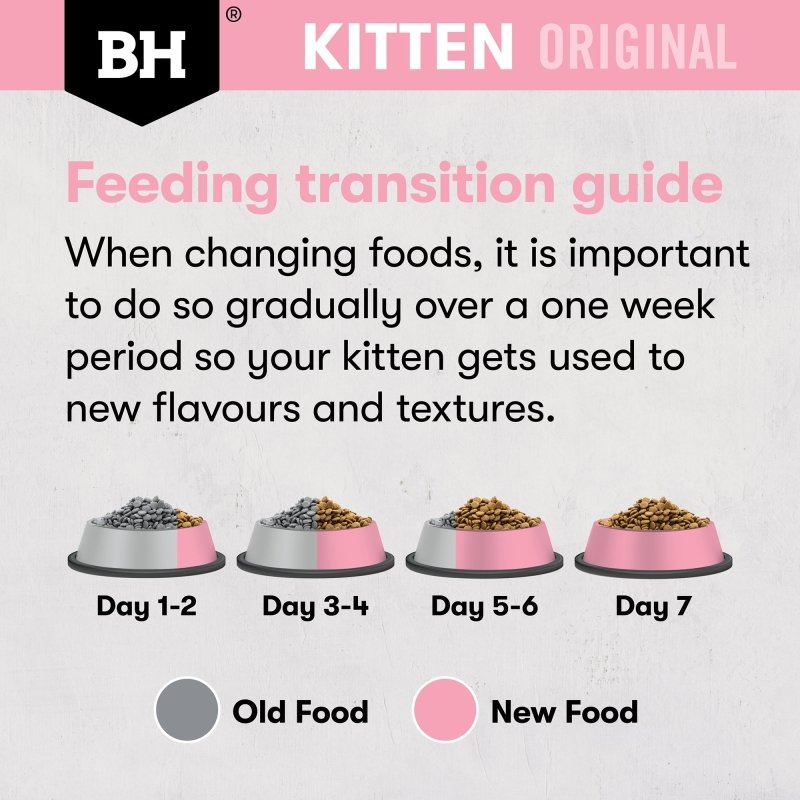 Black Hawk Original Kitten Dry Food