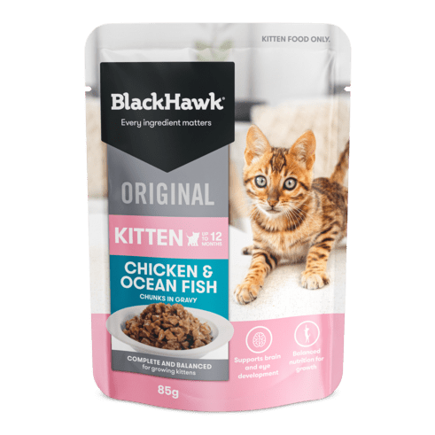 Black Hawk Original Kitten Wet Food 85g x 12Pack