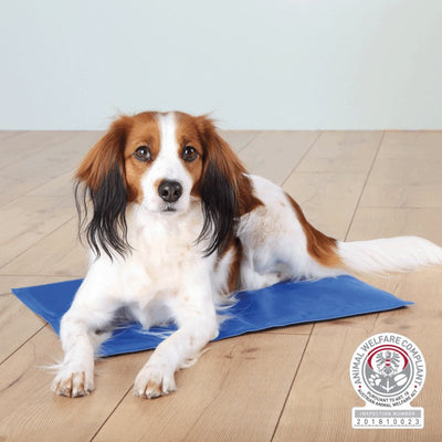 Cooling Mat Blue - Just For Pets Australia