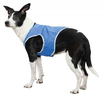 Cooling Vest PVA Blue - Just For Pets Australia