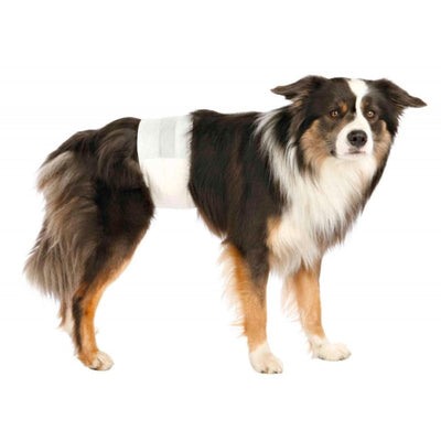 Diapers for Male Dogs - Just For Pets Australia