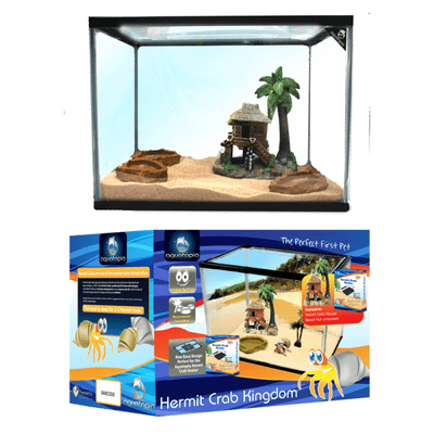 Hermit Crab Kingdom - Just For Pets Australia
