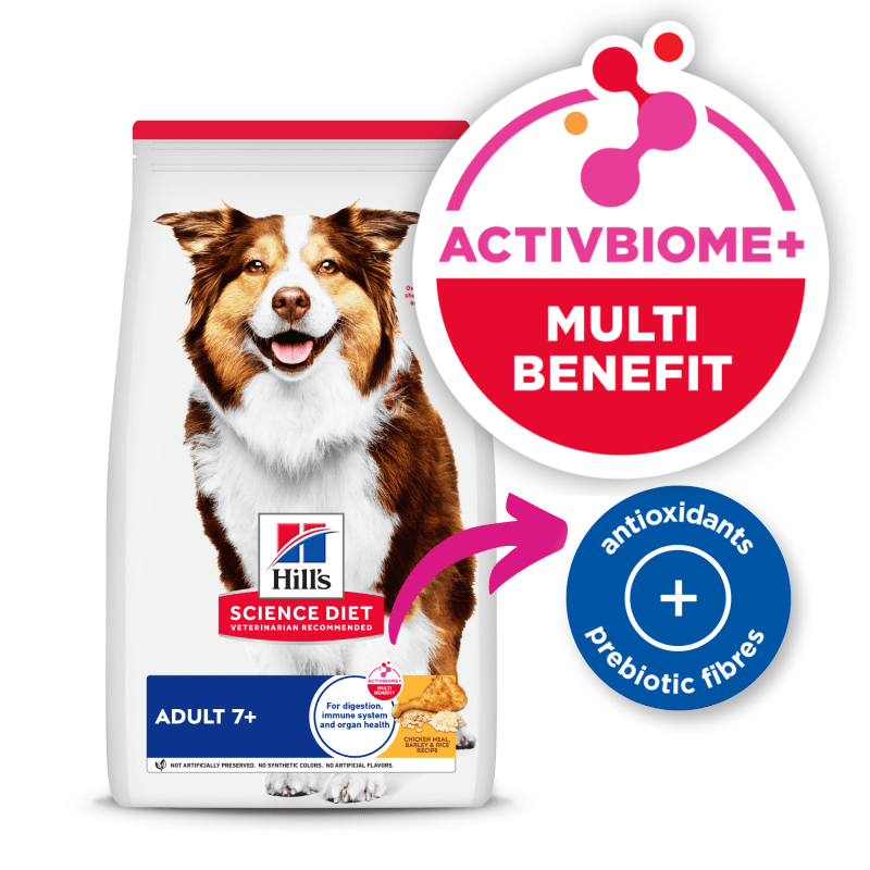Hill's Science Diet Adult 7+ Senior Dry Dog Food