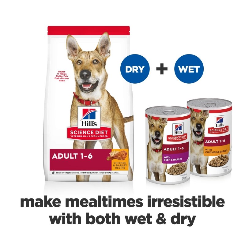 Hills Science Diet Adult Beef & Barley Canned Dog Food, 370g, 12 Pack