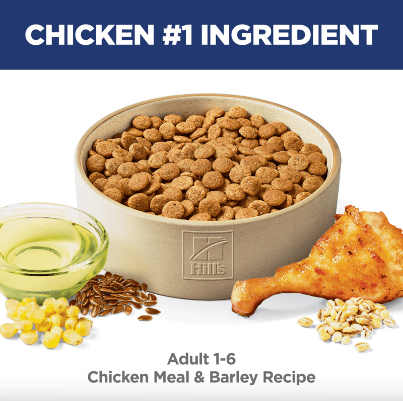 Hill's Science Diet Adult Dry Dog Food