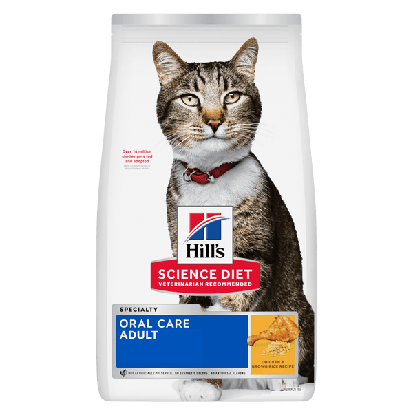 Cat Dental Care Essentials