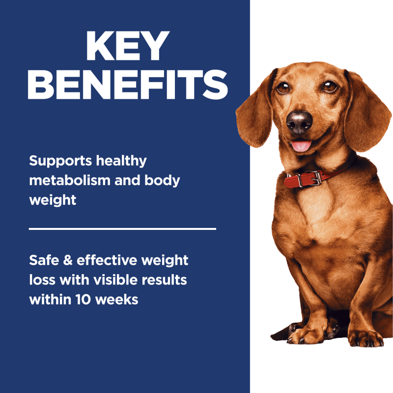 Hill's Science Diet Adult Perfect Weight Small & Mini Dry Dog Food