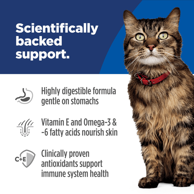 Hill's Science Diet Adult Sensitive Stomach & Skin Dry Cat Food