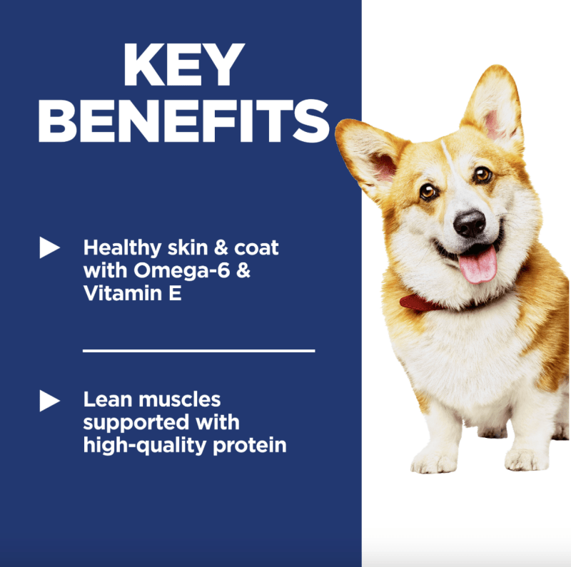 Hill's Science Diet Adult Small Bites Dry Dog Food
