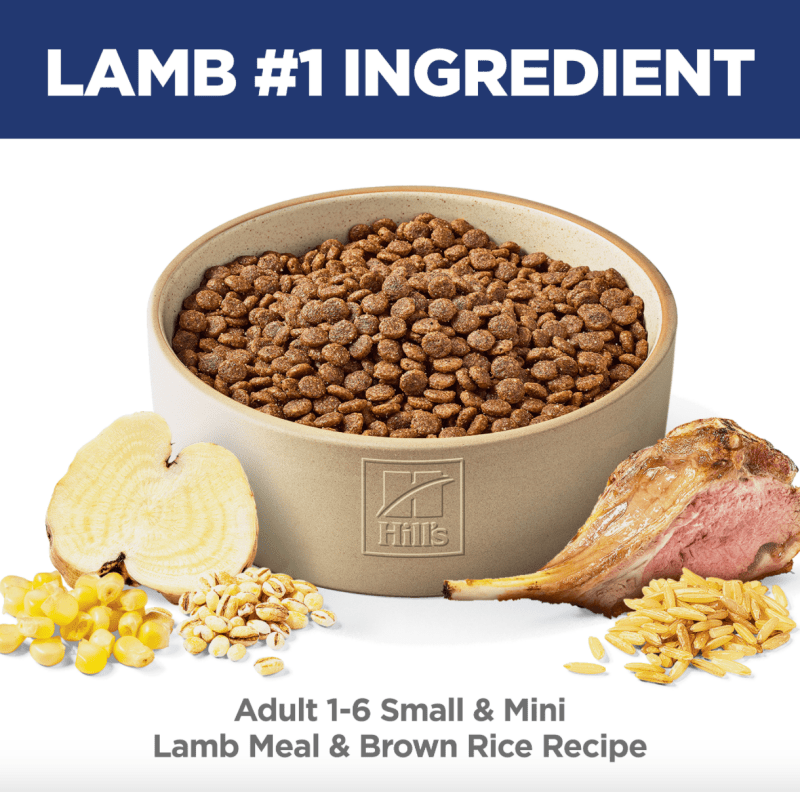 Hill's Science Diet Adult Small Paws Lamb Meal & Brown Rice Recipe Dry Dog Food 2.04kg