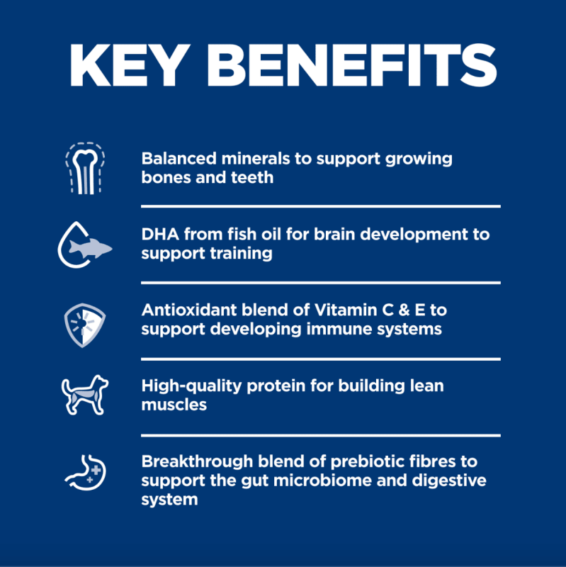 Hill's Science Diet Kitten Indoor Dry Cat Food