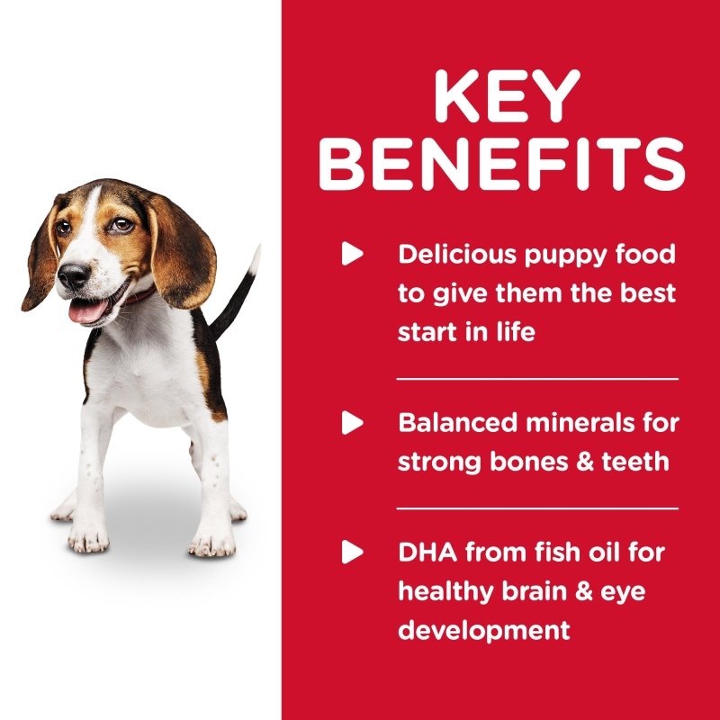 Hill's Science Diet Puppy Chicken & Barley Canned Dog Food, 370g, 12 Pack