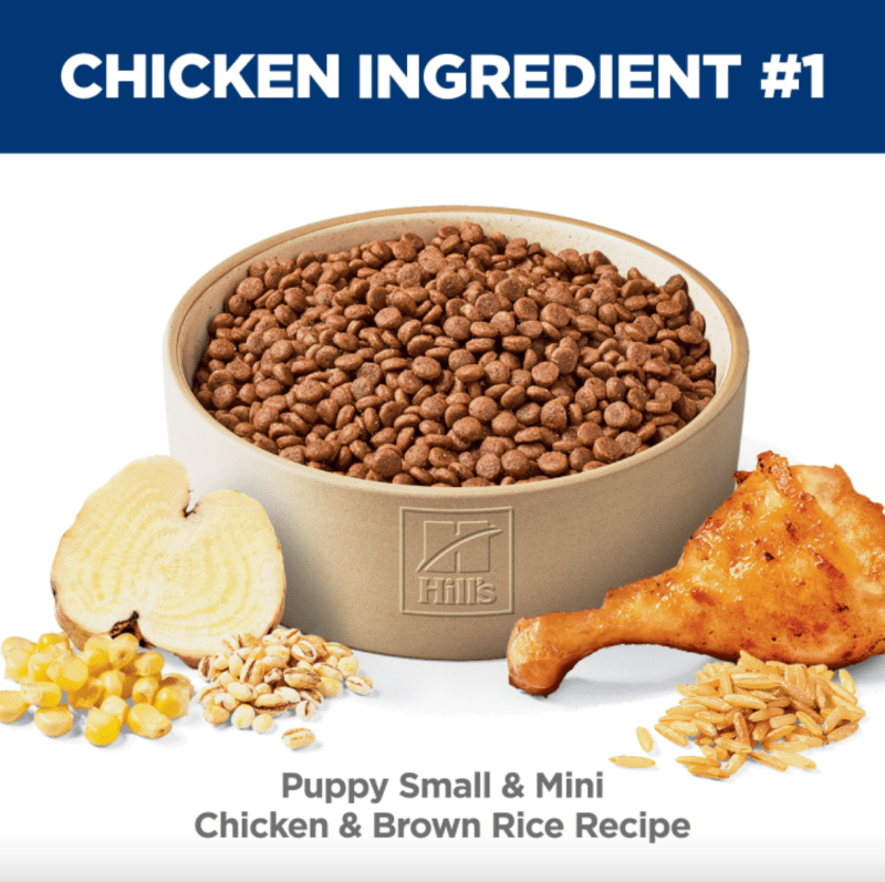 Hill's Science Diet Puppy Small Paws Dry Dog Food