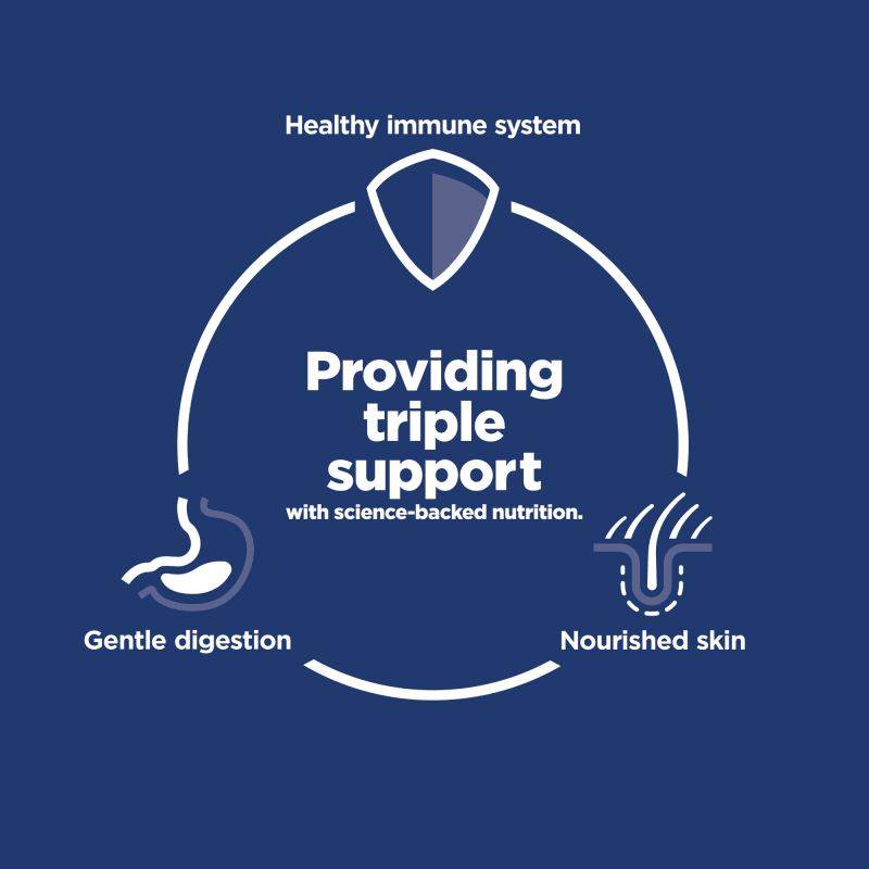 Hill's Science Diet Adult Sensitive Stomach & Skin Dry Dog Food