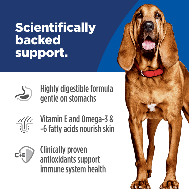 Hill's Science Diet Sensitive Stomach & Skin Adult Large Breed Dry Dog Food 13.6kg
