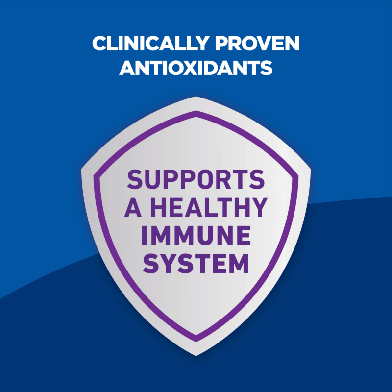 Hill's Science Diet Adult Sensitive Stomach & Skin Dry Dog Food