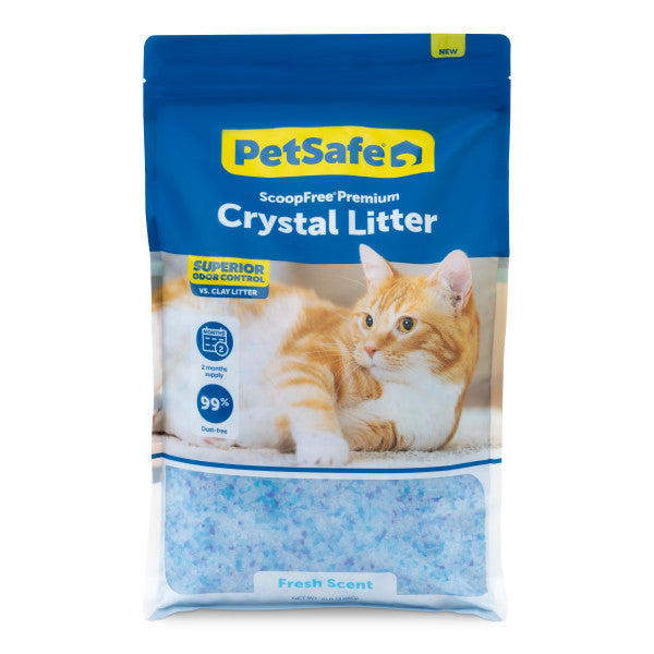 Cat Litter and Clean-Up Essentials